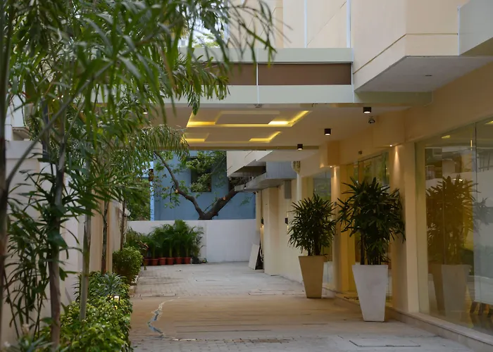 Blu Iris